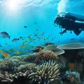 Unveiling a Hidden Underwater Paradise 