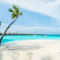 Soneva Jani vs Soneva Fushi: Which Maldives Resort Is Right for You?