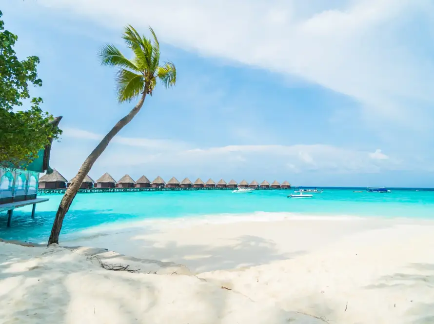 Maldives beach with huts and trees