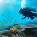 Nightlife in Maldives: Top Clubs, Beach Bars, and Party Experiences