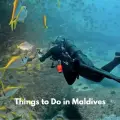 Things to Do in Maldives: 35 Best Activities, Experiences & Travel Tips (2026)