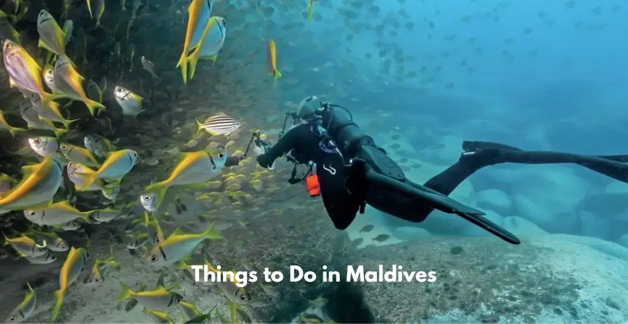 Scuba diver swimming underwater alongside a large school of yellow fish in the Maldives.