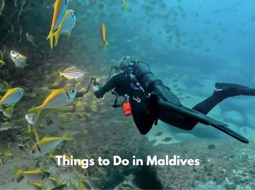 Scuba diver swimming underwater alongside a large school of yellow fish in the Maldives.