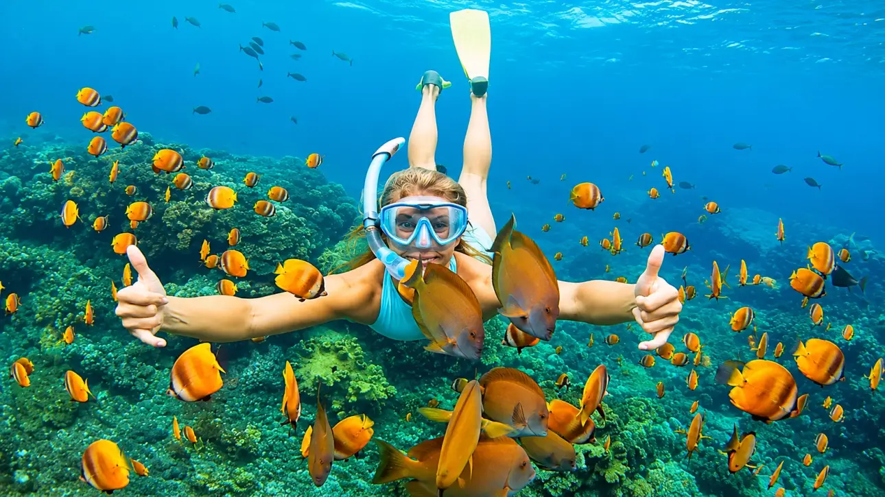 Tourist snorkeling among vibrant tropical fish and coral reef in clear blue ocean water.