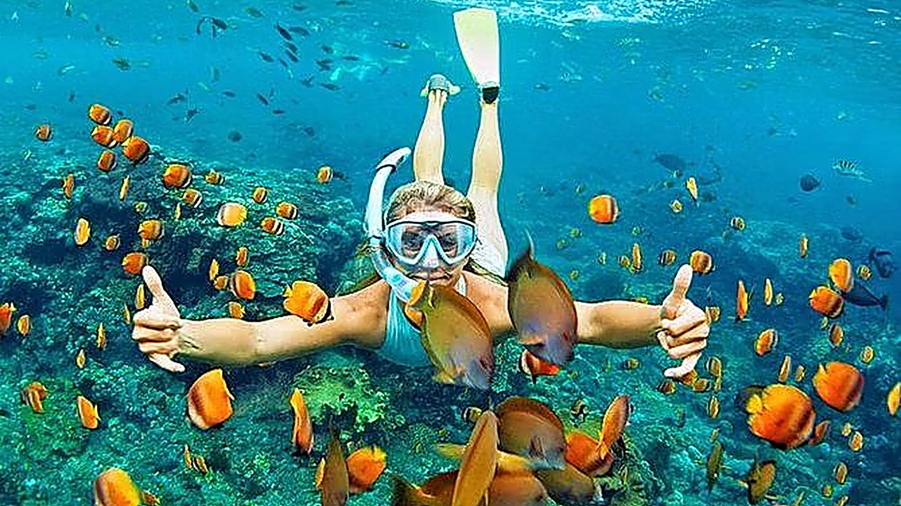 Tourist snorkeling among vibrant tropical fish and coral reef in clear blue ocean water.