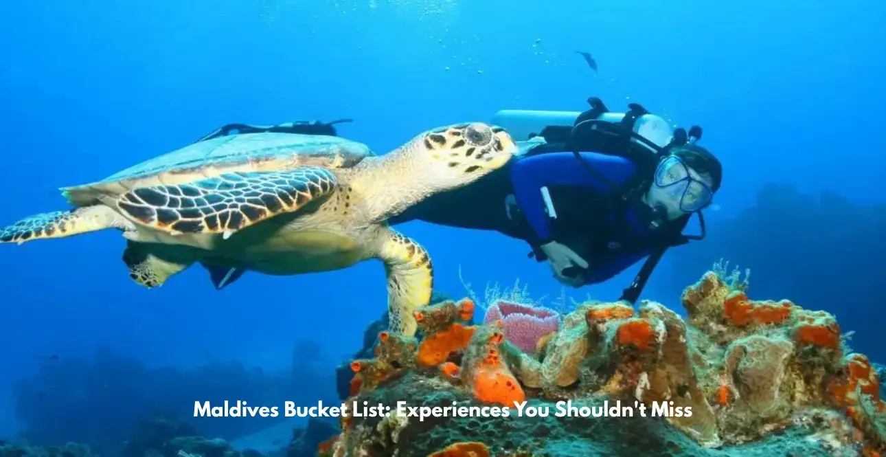 Scuba diver swimming with a sea turtle above a vibrant coral reef in clear blue Maldives waters