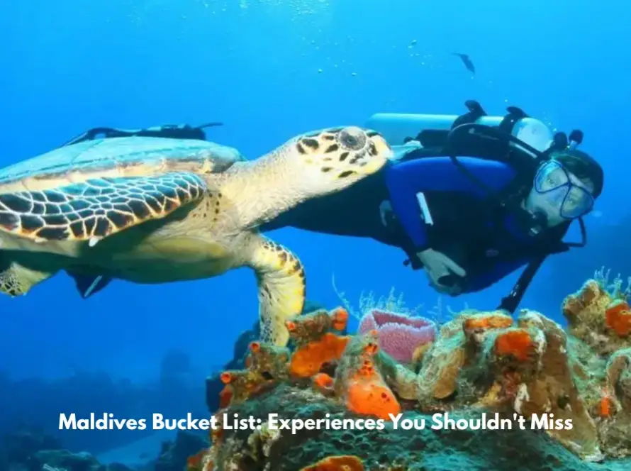 Scuba diver swimming with a sea turtle above a vibrant coral reef in clear blue Maldives waters