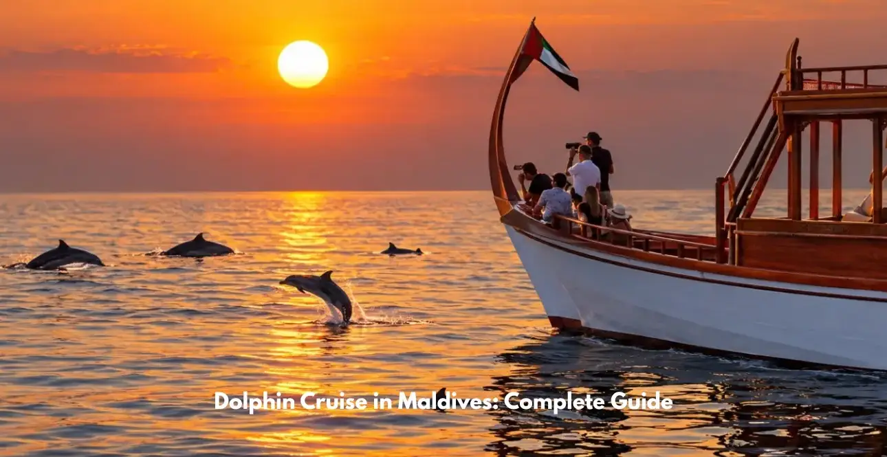 Dolphin cruise in Maldives at sunset with dolphins swimming beside a traditional wooden boat