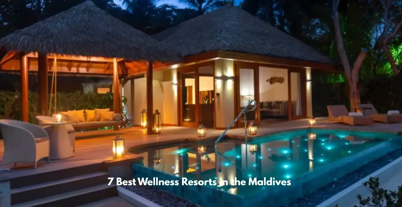 Luxury wellness resort in the Maldives featuring a private pool, tropical villa, and tranquil outdoor lounge