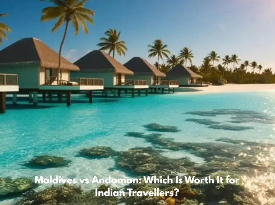 Tropical overwater bungalows surrounded by clear turquoise water, palm trees, and a bright blue sky.