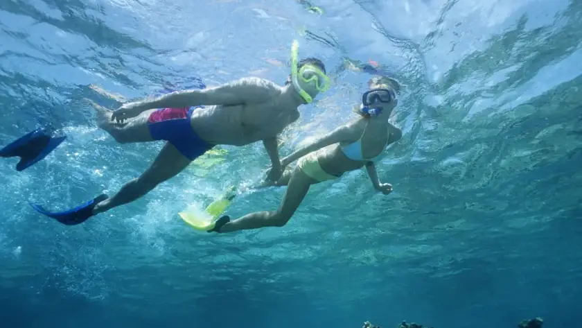 Two people snorkelling underwater above a coral reef in clear blue tropical water.