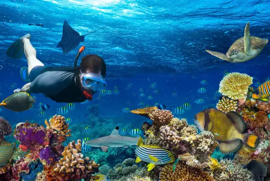 Snorkeling in Maldives Your Guide to Exploring a Vibrant Underwater Paradise