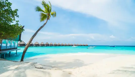 Maldives beach with huts and trees