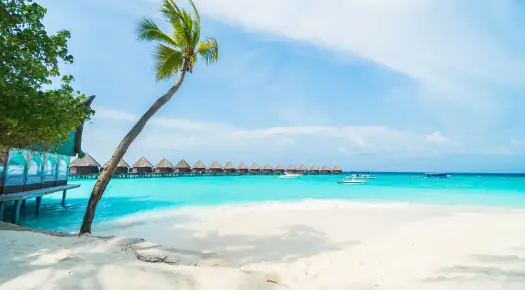 Maldives beach with huts and trees